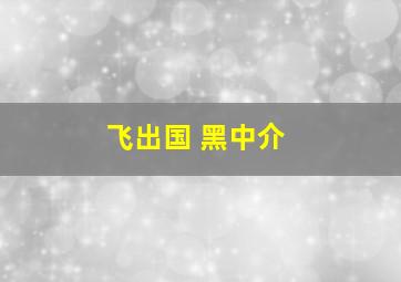 飞出国 黑中介